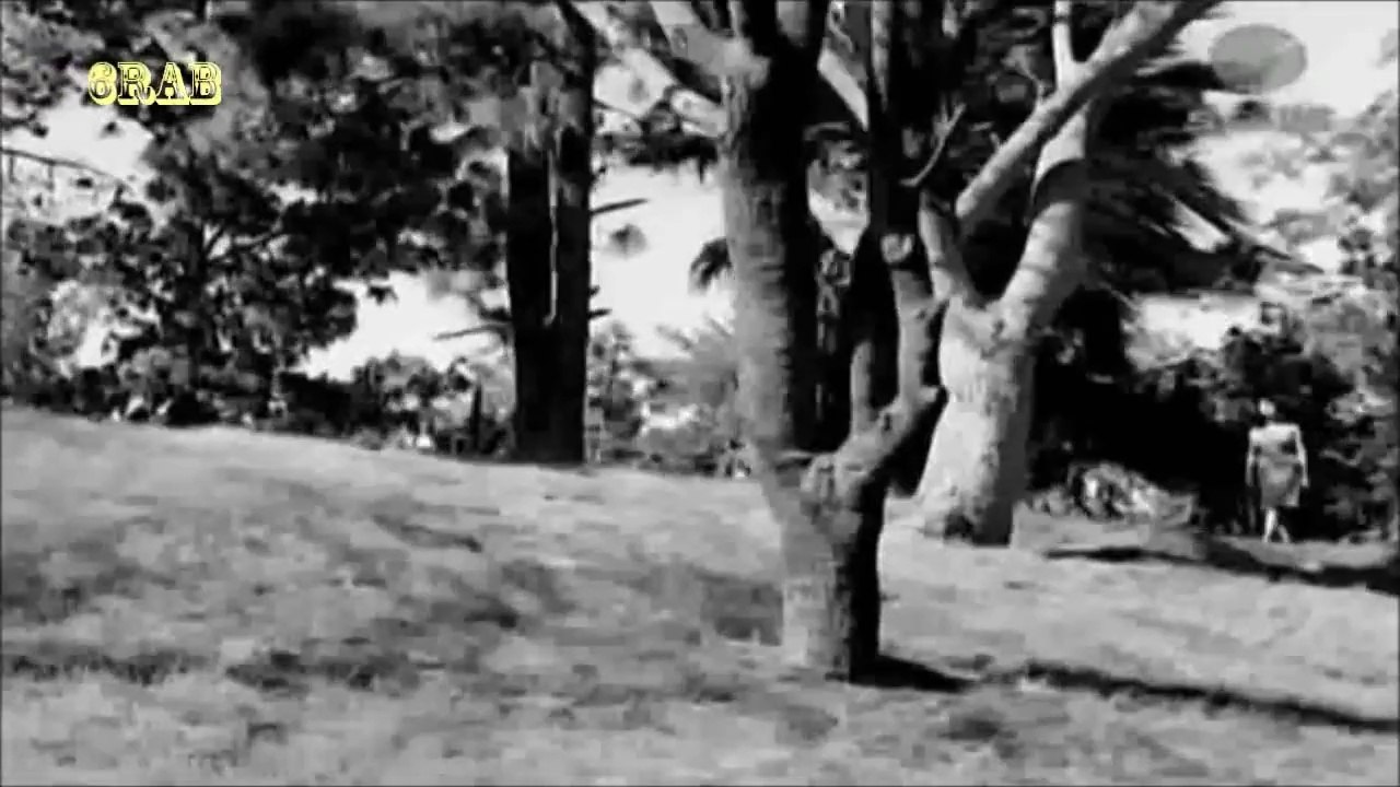 نجاة الصغيرة - القريب منك بعيد - من فيلم شاطئ ا...