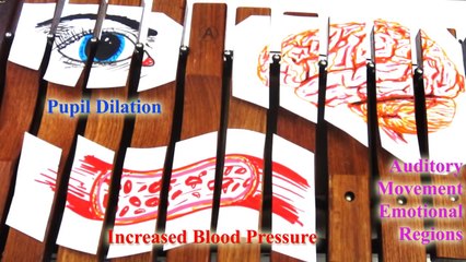 The Scientific Power of Music