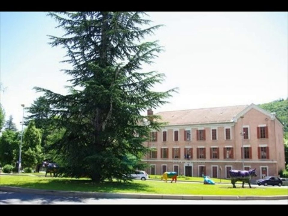 video jean pierre 155