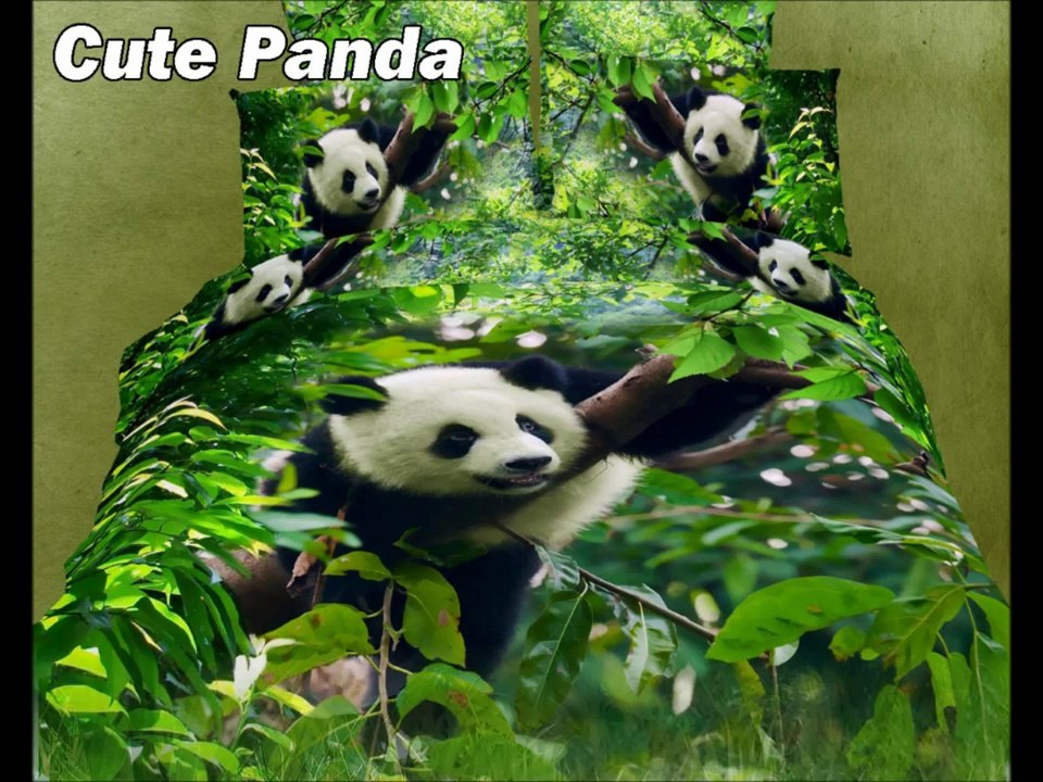 Best Dropship Lists and Business Plans Reviewed- Wholesale & Dropship