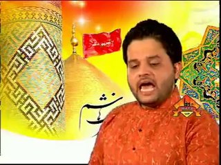 ABBAS(AS) HOON - WAJI HASAN ZAIDI MANQABAT 2009