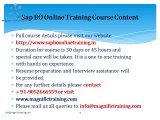 Sap BO(Business Object) online training in usa,uk