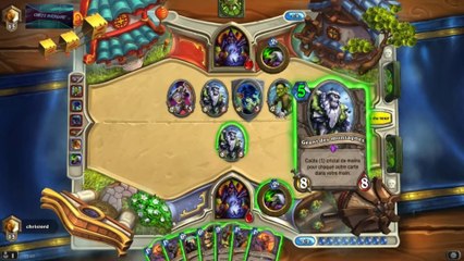 Hearthstone : Présentation Démoniste et Paladin [Démonstration] par Chrisiord