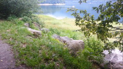 Sortie en Aslace 27 juillet 2014