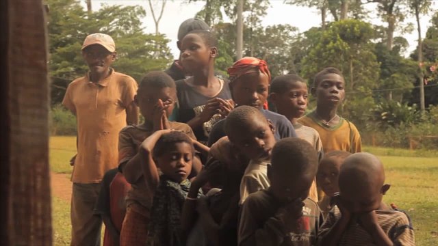 Pygmées Baka, le grand virage