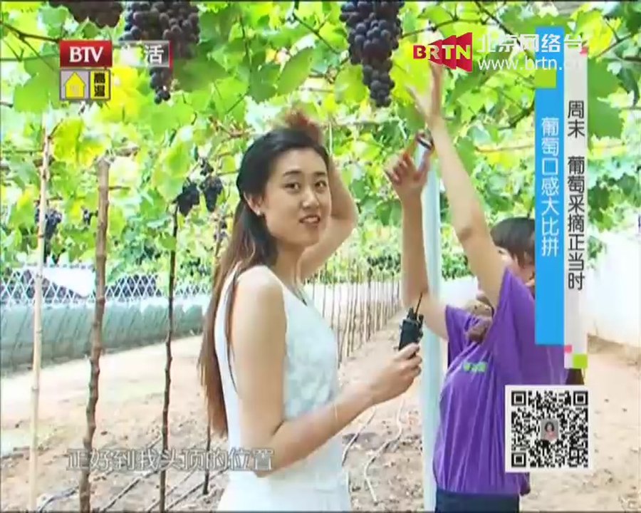 20140725 生活2014 螃蟹也能“移花接木”