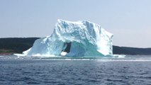 Giant Iceberg Collapses Creating Huge Tidal Wave