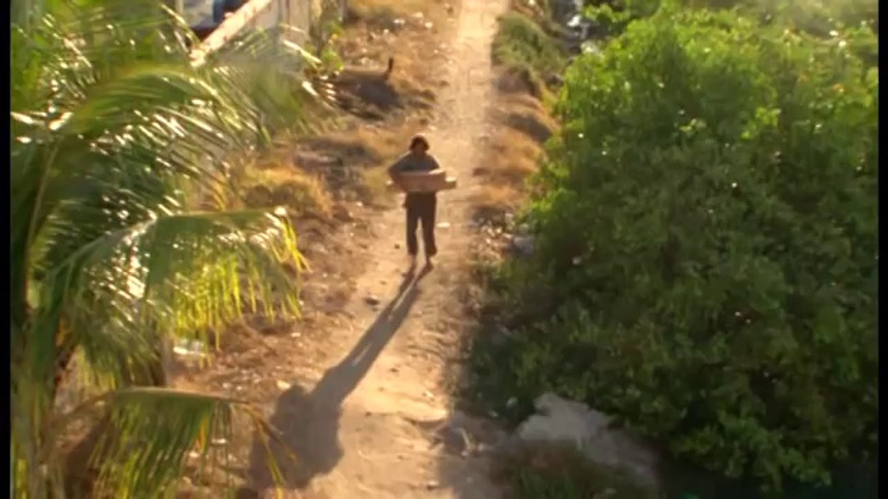 OSSOS DO OFICIO AURORA FILMES