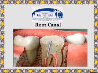 Services provided by Cosmetic Dentist