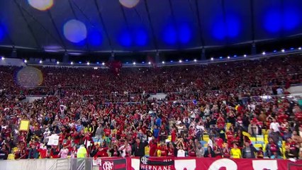 Flamengo 1-0 Botafogo / Brasileirão 2014