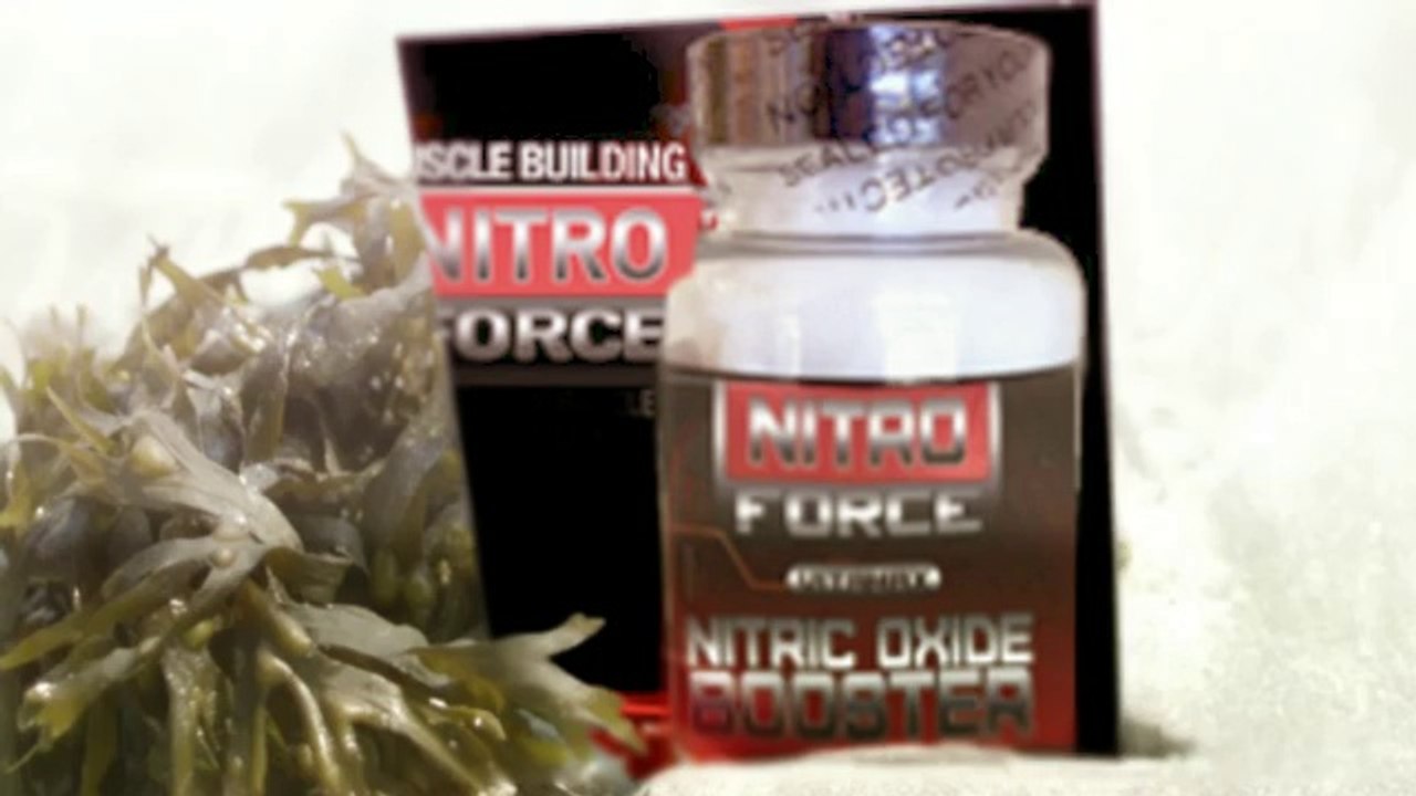 http://nitroforceadvice.com/
