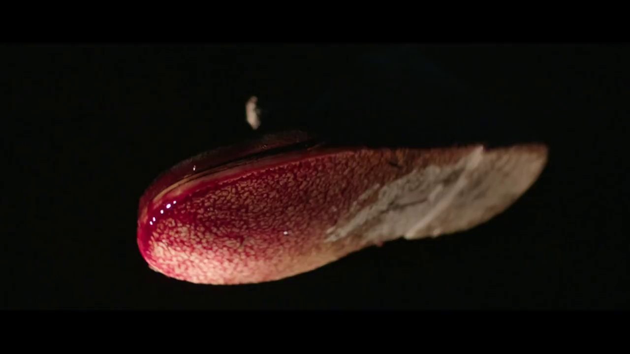Exclusive In Fear Trailer