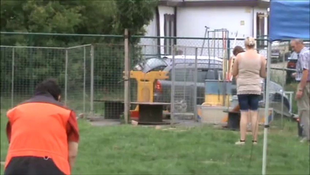 LACKALIKSOU : Iksou de la Belgerie, Obéissance Prog.2 St Trond juillet 2014