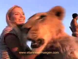 Run with Lions  Cours avec les Lions