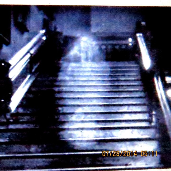 Ghost Real or Fake