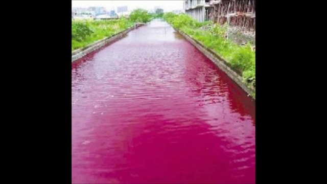 Apocalyptic Sign River In China Mysteriously Turns Bloody Red Overnight