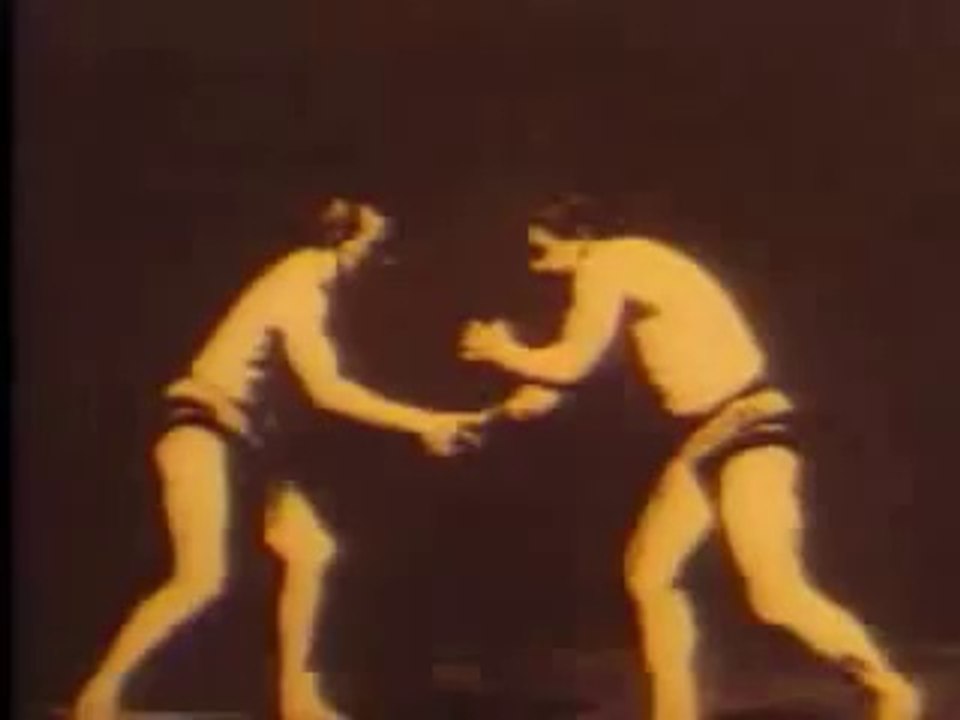 Ringkampfer (1895)