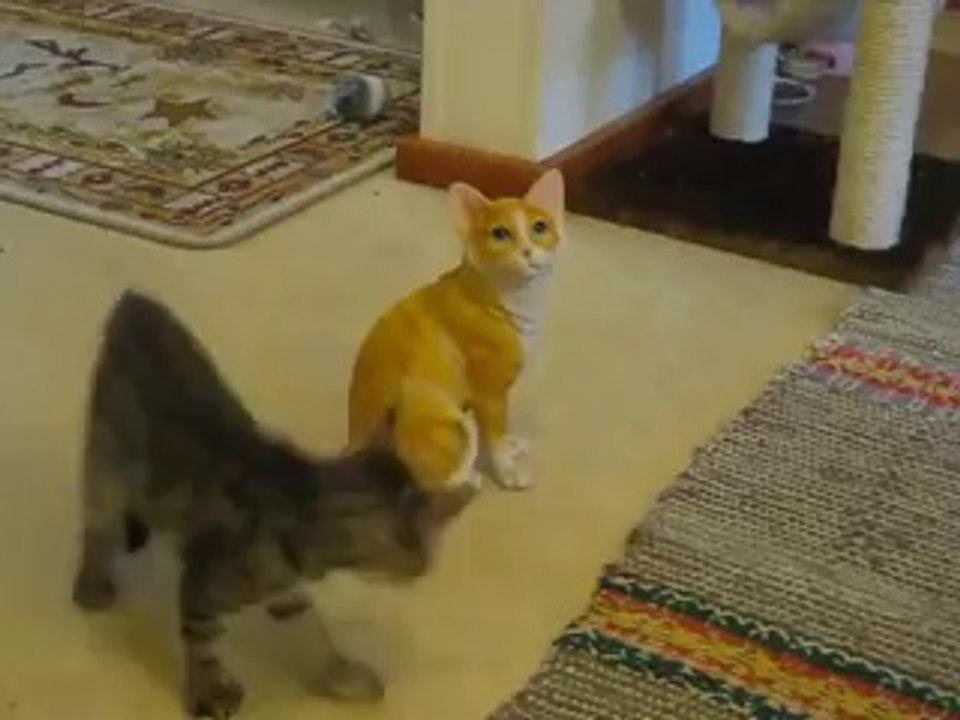 Un chaton attaque une statue de chat