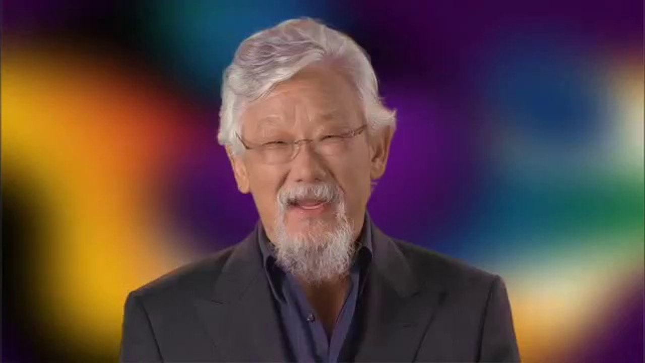 The Nature of Things: Polar Bears: A Summer Odyssey (Preview)