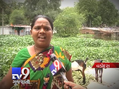 Vadodara, now on the brink of epidemic - Tv9 Gujarati