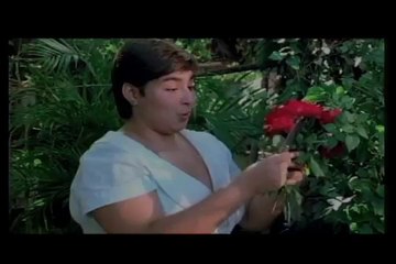 Tves - Hello Hemingway