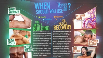 Best Muscle Building Tips with Deer Antler Plus Formula