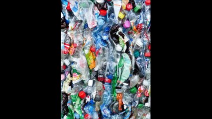 Benefits of Going Green