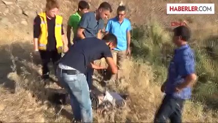 Dha Yurt Siverek'te Kaza: 4 Ölü