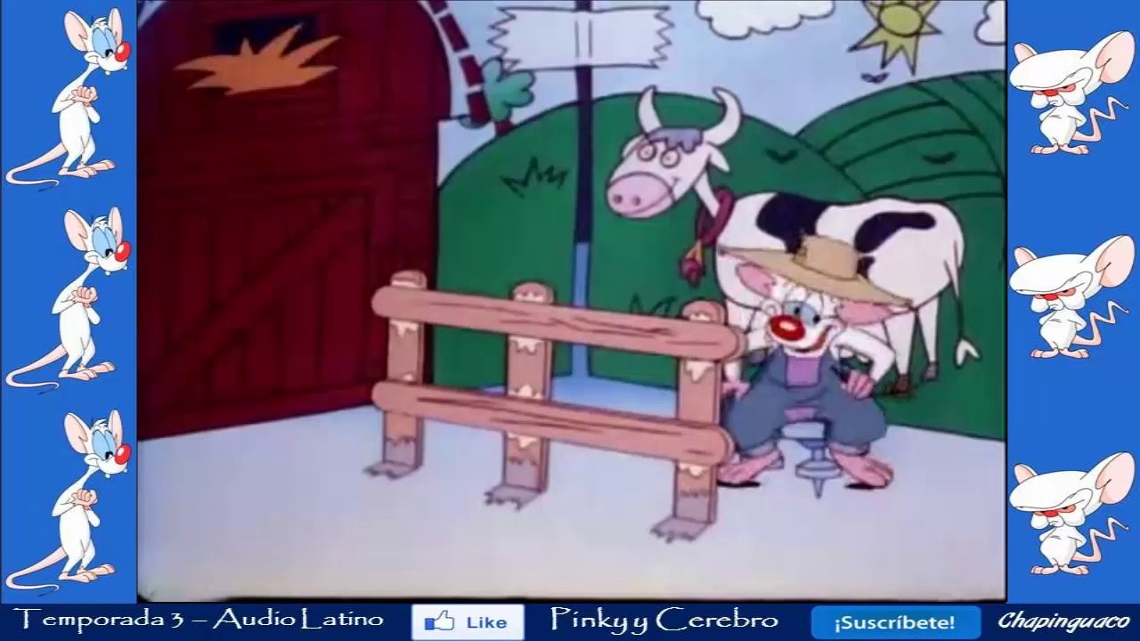 Pinky y Cerebro Capitulo 45