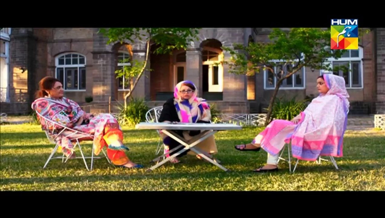 Dhol Bajne Laga Episode 29 HUM TV Drama  - 28th july 2014