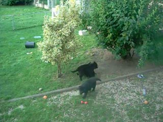 28 juillet 2014 : 7.5 semaines