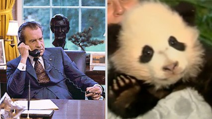That time President Richard Nixon discussed panda sex