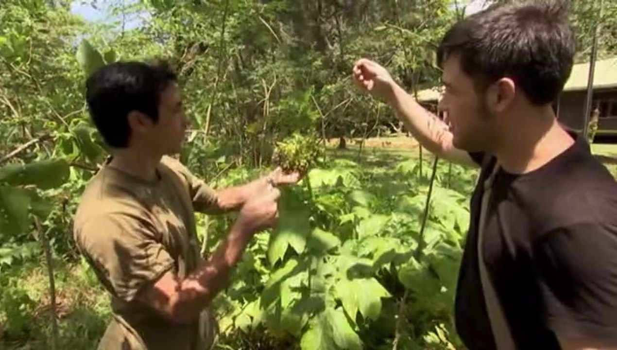 James Wong and the Malaysian Garden