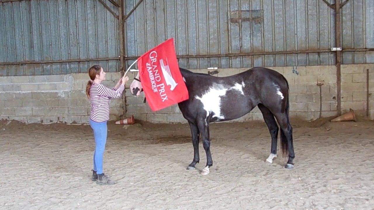 ISGK drapeau