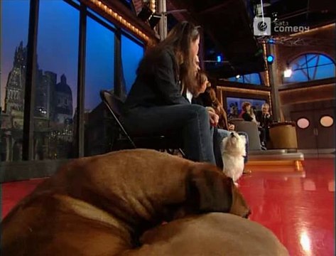 Die Harald Schmidt Show - 1053 - 2002-03-08 - Felicitas Woll, Dog Dancing, Praktikant David