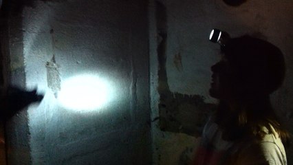 Les batteries du mont canisy