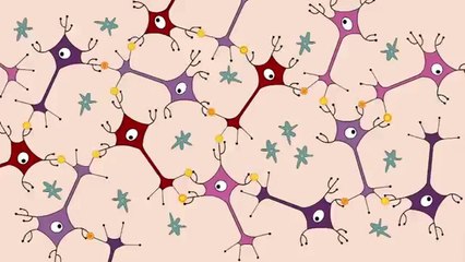 How playing an instrument benefits your brain