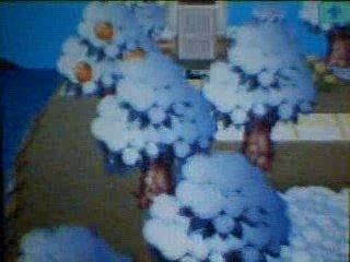 Animal Crossing : Wild World