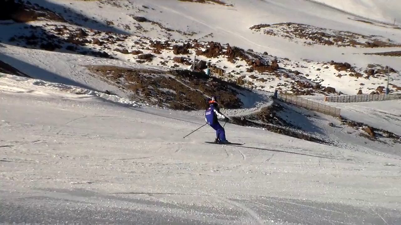 vicuña gs libre 2