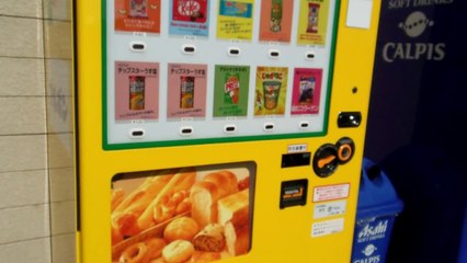 Koala Vending Machine in Japan!