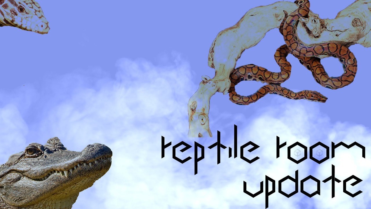 Reptile Collection April 2014 (Reptile Room/Collection Update)