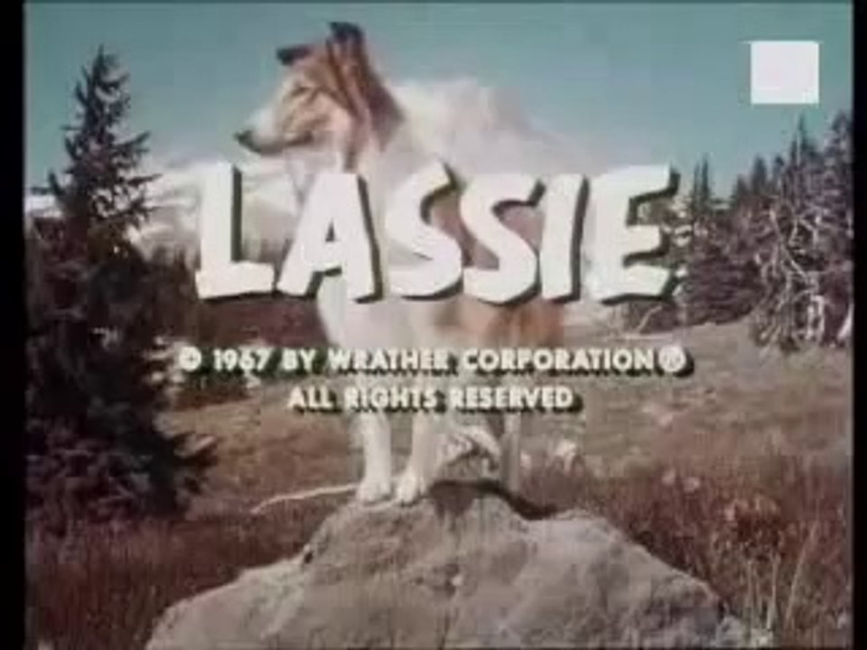 Lassie