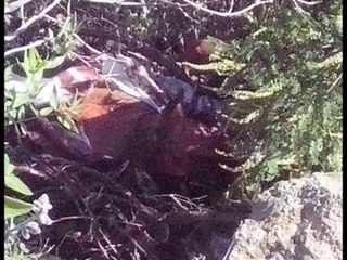 ENCUENTRAN HOMBRE MUERTO EN EL CAMINO A CALDERONES