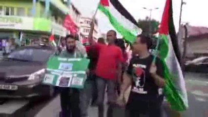 Martinica - Palestine vaincra