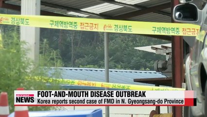 Korea reports second case of FMD in N. Gyeongsang-do Province