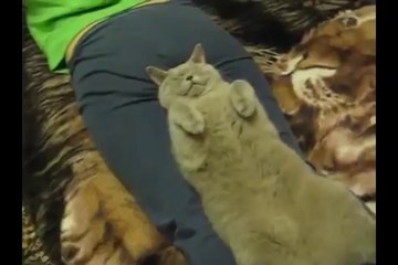 Pranks - Gags - Win - Fail.77