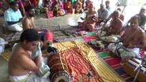 tirupapuliyur shri gopalasundara bagavatar  sri radha kalyanam neyveli 27 07 14