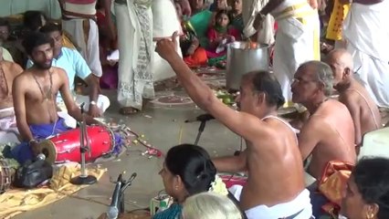 tirupapuliyur shri gopalasundara bagavatar neyveli  sri radha kalyanam 27 07 14   00032