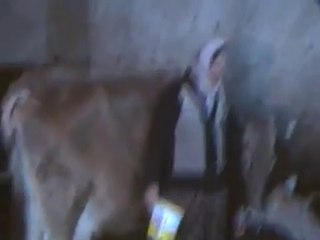 ÇÖREĞİBÜYÜK KÖYÜ (mehmet uğurlu)