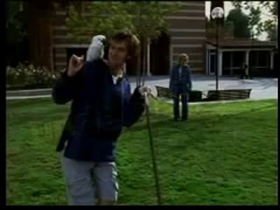 Undeclared Trailer
